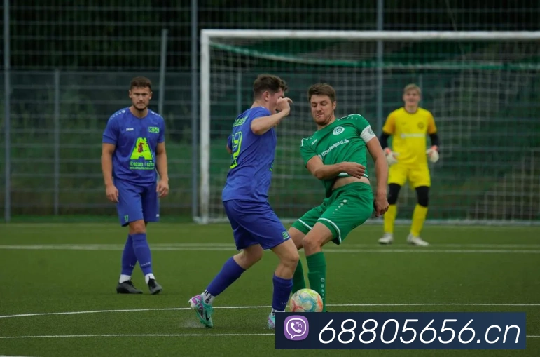 开云官网平台生态图