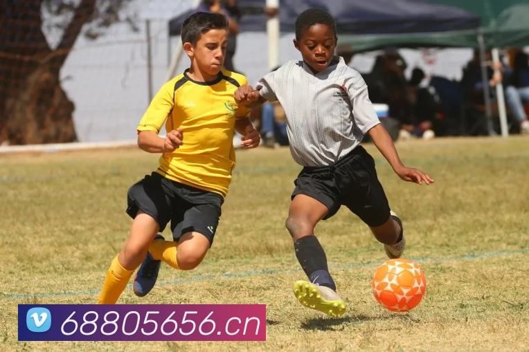 开云官网APP 封面图